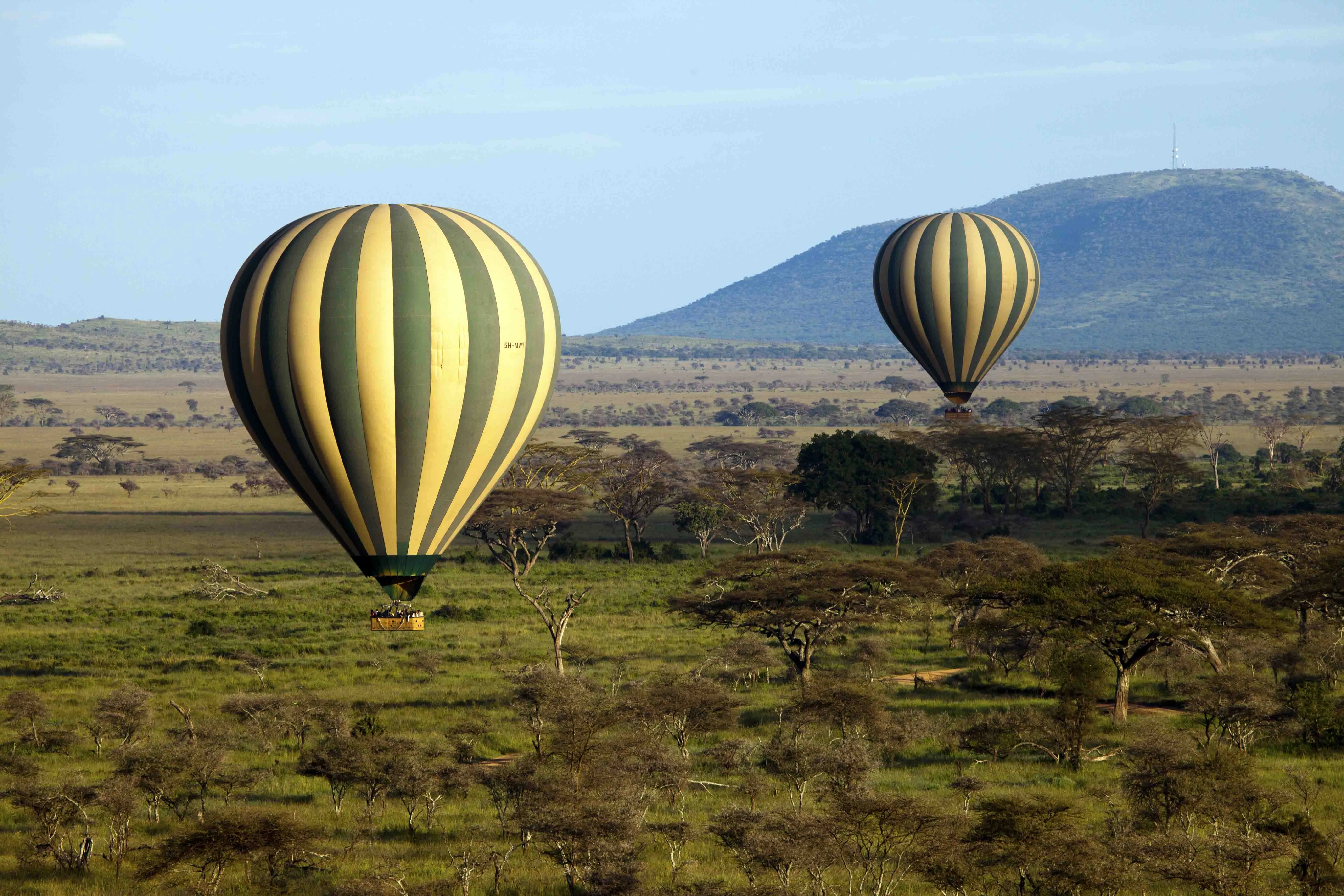 Balloon Safaris gallery 1
